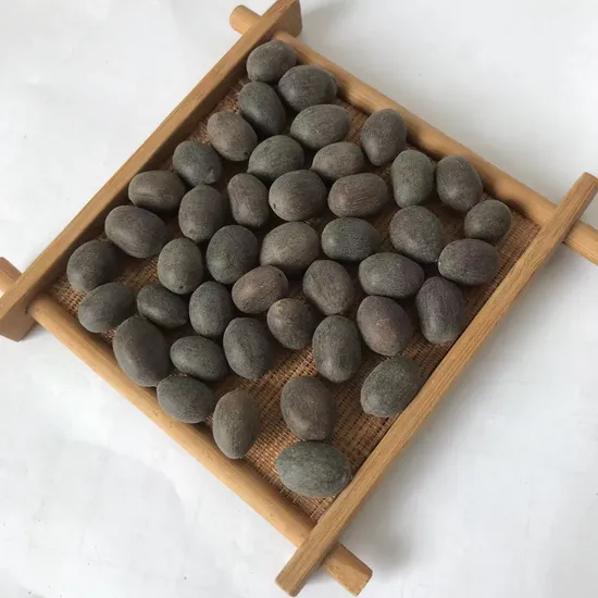 S420 Wan Lian High Quality Bonsai Lotus Flower Seeds Bowl Lotus Seed 