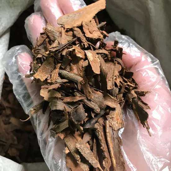 Wholesale Cut Cinnamomum Zeylanicum Bark High Quality Dried Caylon Cinnamon Bark Use for Incense 