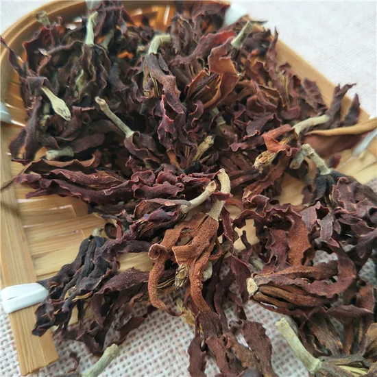 Magnolia Chinese Tea Dried Natural Yu LAN Hua Dry Flowers Magnolia Tea Dried Magnolia Flowers Tea 